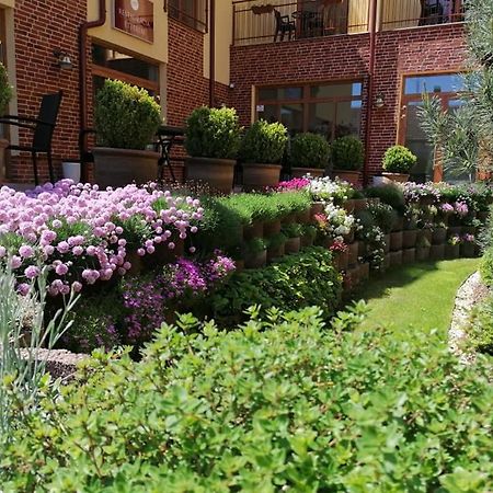 Jolan Pension & Restaurant Cicov Экстерьер фото