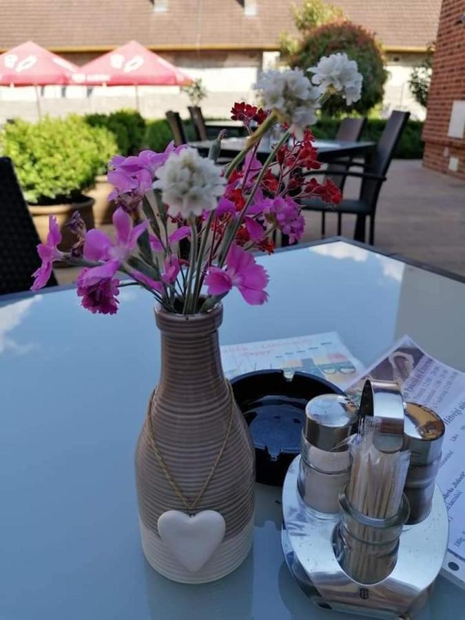 Jolan Pension & Restaurant Cicov Экстерьер фото