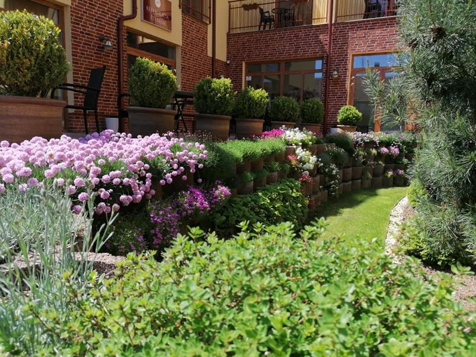 Jolan Pension & Restaurant Cicov Экстерьер фото